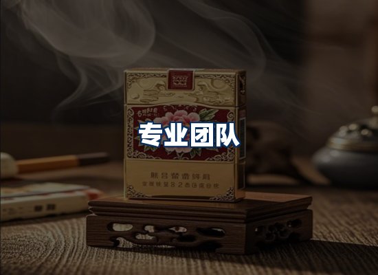 专业团队